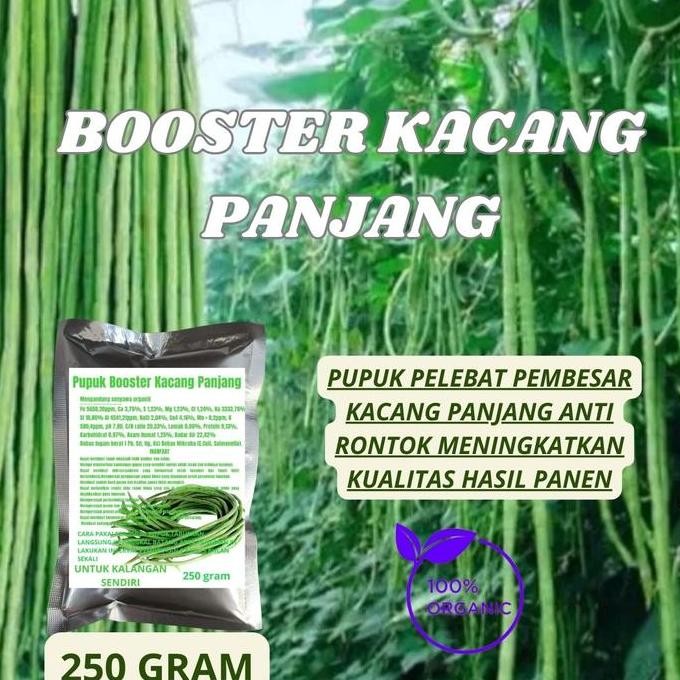 

Terlaris Pupuk Boster Kacang Panjang Super Organik Penyubur Pelebat Buah Dan Anti Rontok 250 Gr Tanaman