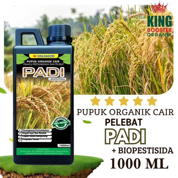 

Terlaris Pupuk Booster Padi Premium Cair 1000Ml ( 1 Liter ) - Pupuk Organik Pelebat Padi I Pupuk Organik Bulir Padi Pemacu Tumbuh Pelebat Hormon Organik Penyubur Tanah