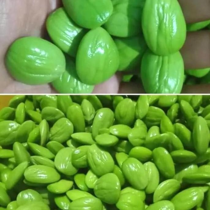 

Terlaris Petai Pete Padi Kupas Super 250 Gram Fresh Enak Lezat Halal