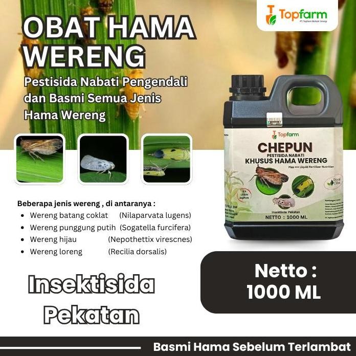 

Terlaris Obat Wereng Padi - Obat Wereng Paling Ampuh / Obat Hama Wereng / Obat Wereng Pada Tanaman Padi / Pembasmi Hama Obat Wereng / Racun Wereng Terbaik / Pestisida Wereng Padi