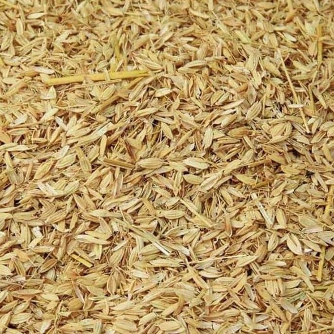 

Terlaris Merang/Sekam Padi Untuk Penghitam Rambut Dan Pertanian