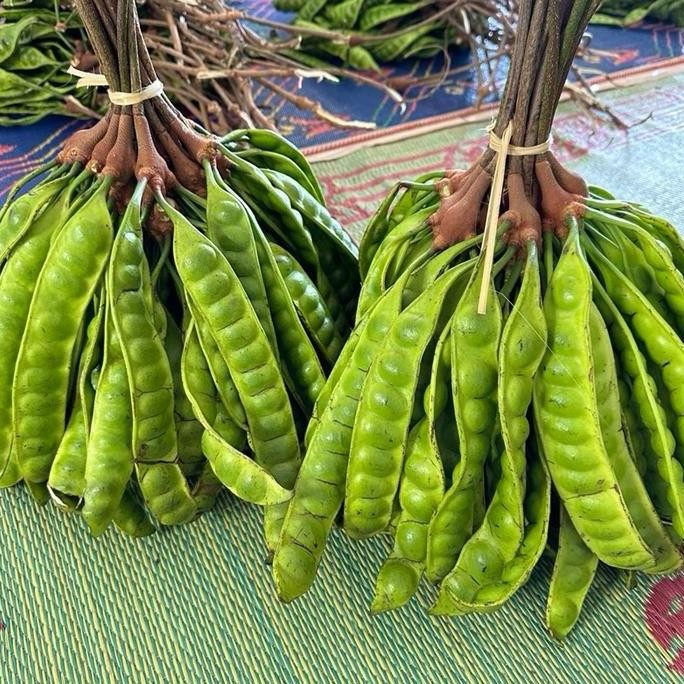 

Terlaris Wonogiri Pete Padi Mini 13 Papan