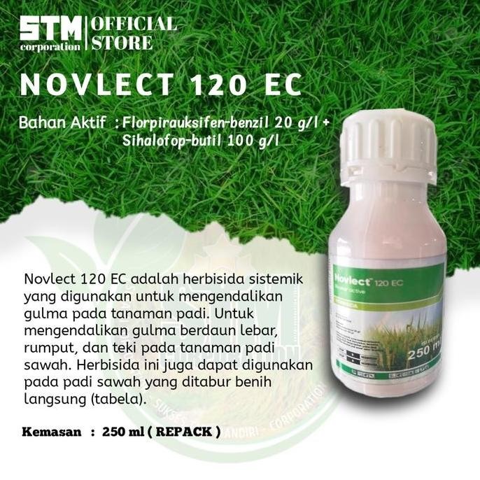 

Terlaris Novlect 250 Ml | Herbisida Padi | Obat Gulma Padi | Obat Suket Sawah