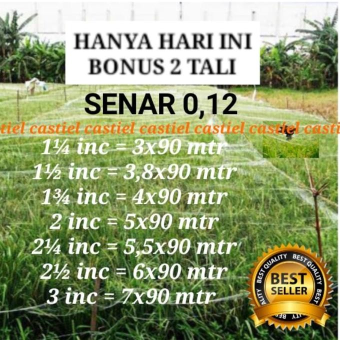 

Terlaris Jaring Burung Blekek Mandar Belibis Jaring Padi Termurah Jaring Sawah Bonus 2 Tali
