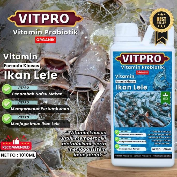

Terlaris Vitpro Ikan Lele, Vitamin Ikan Lele Agara Cepat Besar 1010 Ml Probiotik Pemacu Pertumbuhan Ikan Lele Vitamin Pemacu Tumbuh Besar Dan Menjaga Kesehatan Ikan Lele Dari Jamur Dan Lainya