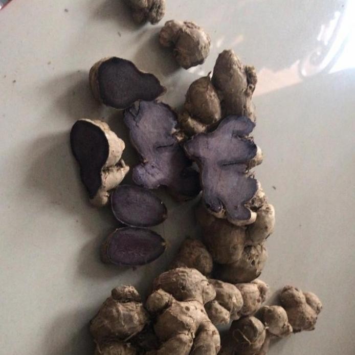 

Terlaris Ready Stok Bibit Rimpang Umbi Kunyit Hitam Asli Siap Kirim