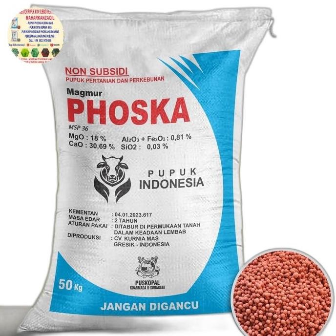 Terlaris Pupuk Npk Phoska 15-15-15 Non Subsidi Pupuk Pertanian 5 Kg & 50 Kg