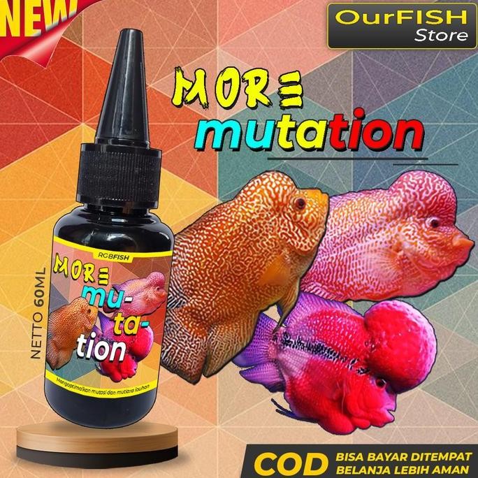 Terlaris Vitamin Ikan Louhan Obat Mutasi Louhan Cencu Kamfa Golden Base Srd Ori