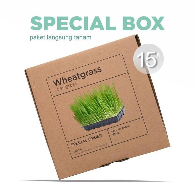 

Terlaris Paket Langsung Tanam - Gardening Kit - Special Box - Benih Wheatgrass / Cat Grass / Rumput Gandum Seeds - Aneka Pohon