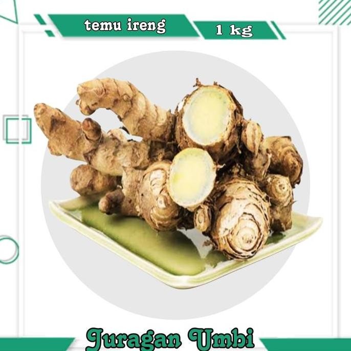 

Terlaris Temu Ireng / Kunyit Hitam / Bibit Temu Ireng Lokal 1 Kg