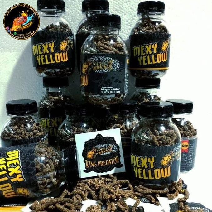 Sale Pelet Mexy Yellow Spesialis Pelet Channa Maru Marulioides Red & Yellow