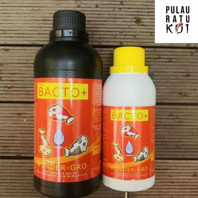 Bacto+ bactery starter filter kolam koi dan akuarium bakteri biologis [terbaik]