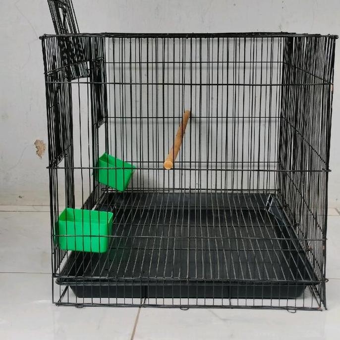 Sangkar Kandang Umbaran Burung  Size Large L 60X40Cm Ekonomis Fullset Free 2 Cepuk Plus Tatakan Tang