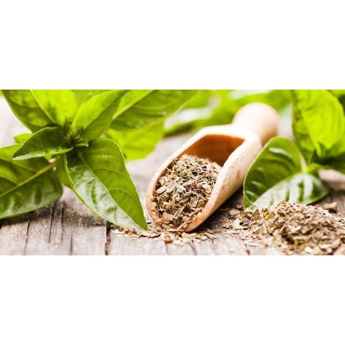 

Produk Terbaik] Basil Dry From Turkey 500gram / Daun Basil / Basil Leaves