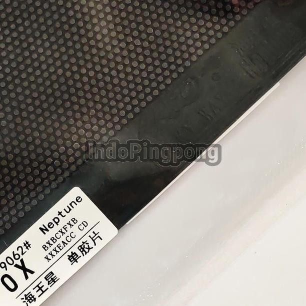 Yinhe Neptune OX - Long Pips Bintik Bertahan Panjang