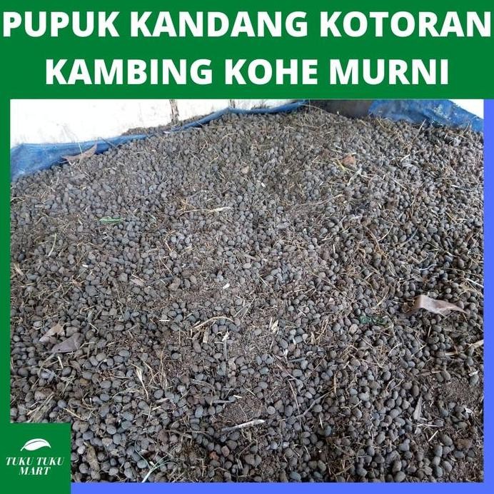 

Terlaris Pupuk Kandang Kotoran Kambing 2Kg - Pupuk Kohe Murni 2000Gram