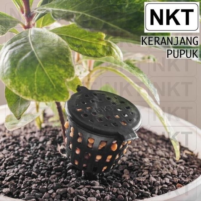 

Terlaris Pot Nkt Keranjang Pupuk Tanaman Tempat Pupuk Osmocote Dekastar Dan Npk Mutiara
