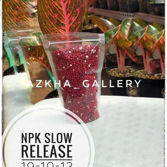 

Terlaris Pupuk Npk Slow Release 19-10-13 Buat Segala Macam Tanaman