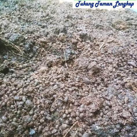 

Terlaris Pupuk Kandang