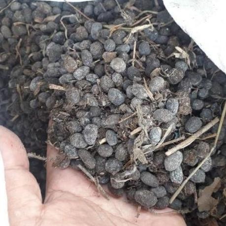 

Terlaris Pupuk Kandang/Pupuk Kotoran Kambing/Murni Rapacking 1Kg/Media Tanam