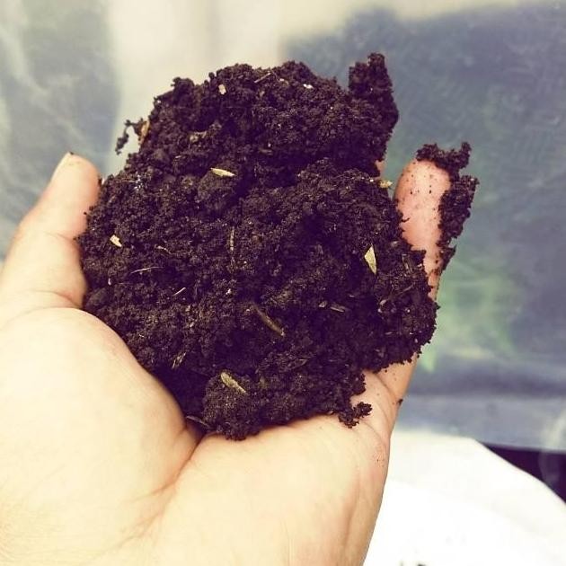 

Terlaris Media Tanam Tanah Lembang Siap Pakai Mix Pupuk Kandang Sekam 1Kg