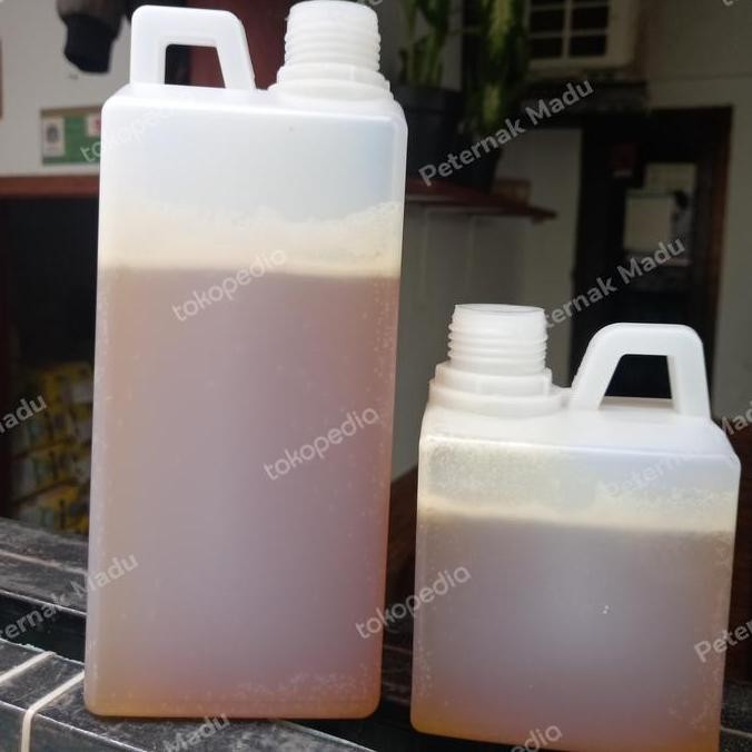 

BARU MADU HUTAN SIALANG SUMSEL 1 KG MADU MURNI