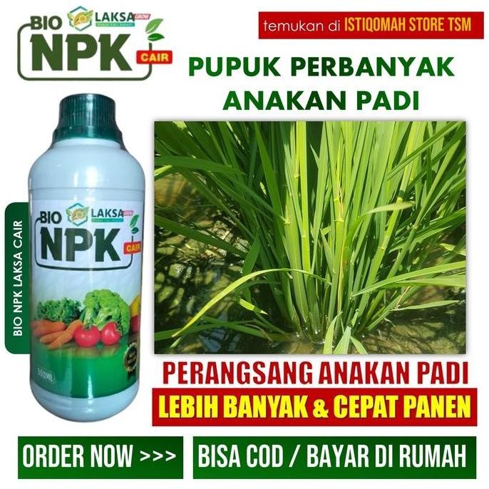 

Terlaris Bio Npk Laksa 500 Ml Pupuk Cair Spesial Untuk Perbanyak Anakan Padi Lebat & Panen Lebih Banyak Pupuk Npk Booster Buah