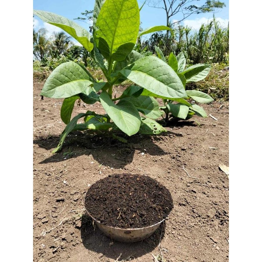 

Terlaris Pupuk Npk Organik Ramah Lingkungan Siap Pakai 1Kg Tanaman