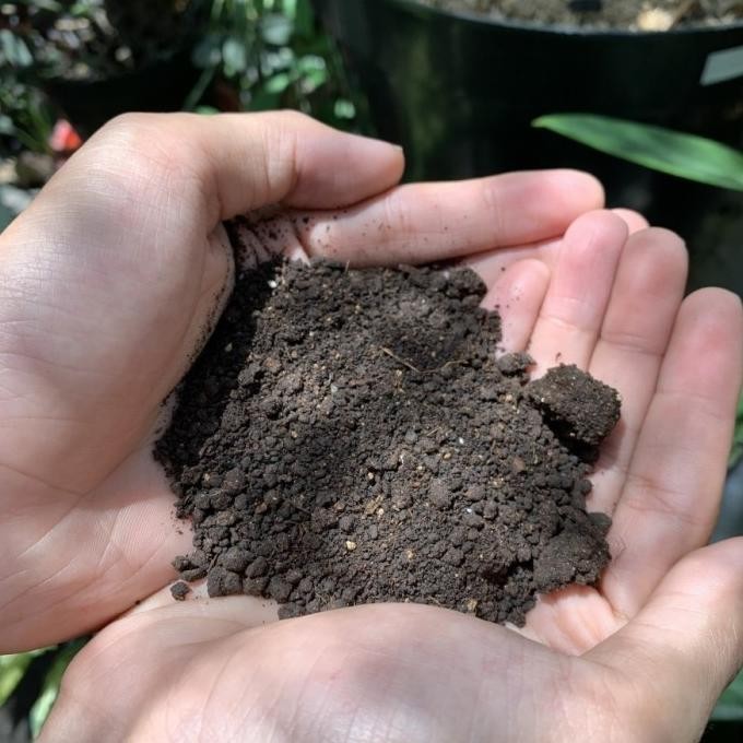 

Terlaris Pupuk Kandang Kambing Fermentasi Organik - 3 Kg