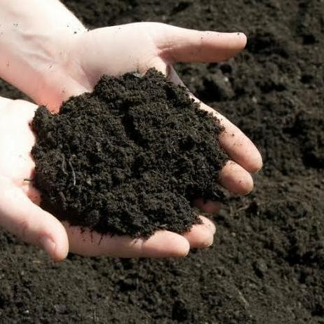 

Terlaris Pupuk Kandang Organik Tai Kambing Halus Murni 1Kg