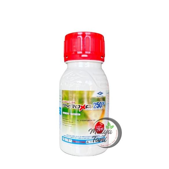 

Terlaris Fungisida Pyroxa 250Sc 250Ml Piraklostrobin Mengendalikan Bulai Jagung