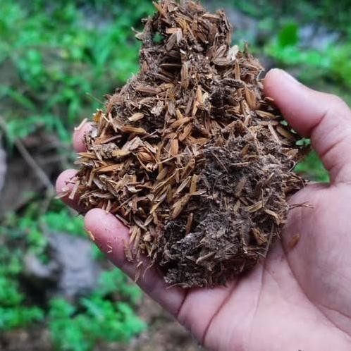 

Terlaris Pupuk Kandang Kohe Ayam Ukuran 1 Kg