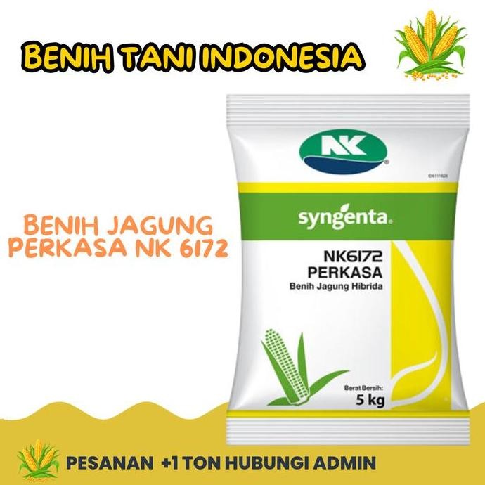 

Terlaris Bibit Jagung | Benih Jagung Perkasa Nk 6172 Sygenta 5 Kg (Asli 100%)