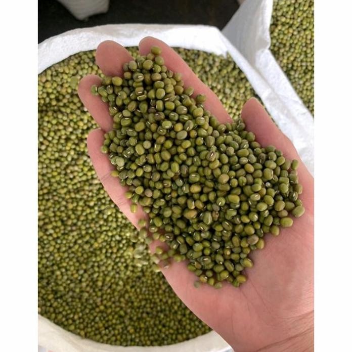 

Terlaris Kacang Hijau 250Gram