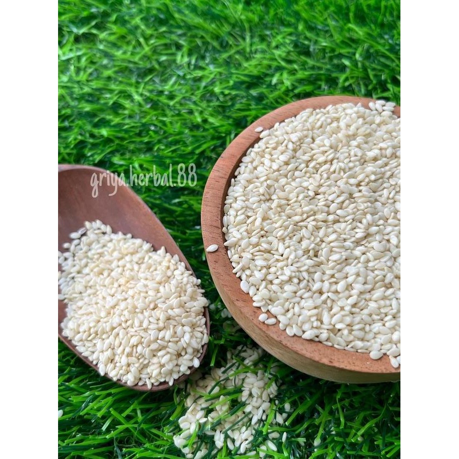 

Terlaris Wijen Putih | Biji Wijen Putih | White Sesame Seed Kualitas Bagus 100-250Gram