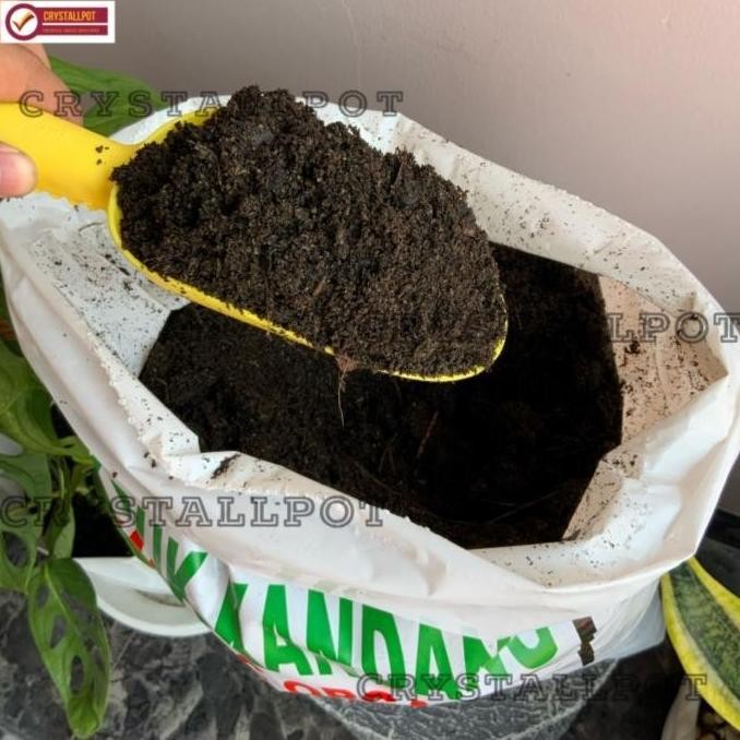 

Terlaris Pupuk Kandang Kambing Organik Halus Dan Steril Mempercepat Pertumbuhan