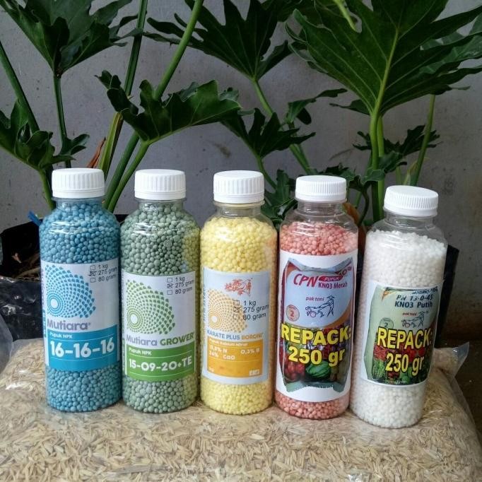 

Terlaris Pupuk Npk Mutiara 275 Gram, Pupuk Daun Bunga Buah, Pupuk Tanaman Hias