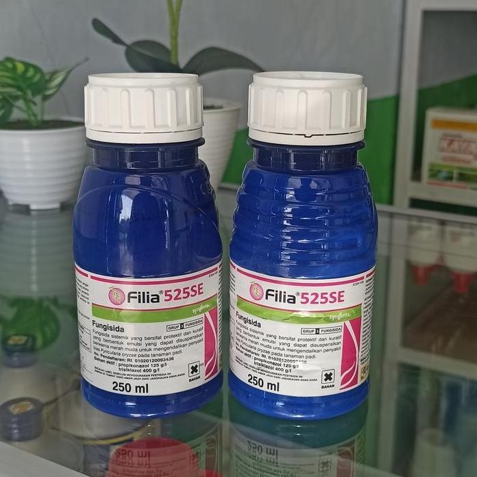 

Terlaris Fungisida Filia 525Se Obat Padi Fungisida Fillia Obat Blast Xantomonas