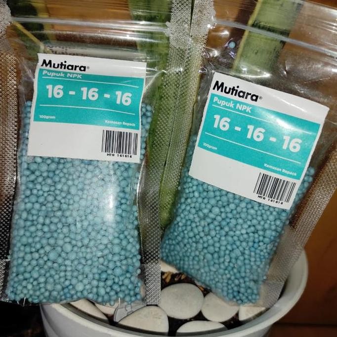 

Terlaris Pupuk Npk Mutiara 16-16-16 Repack