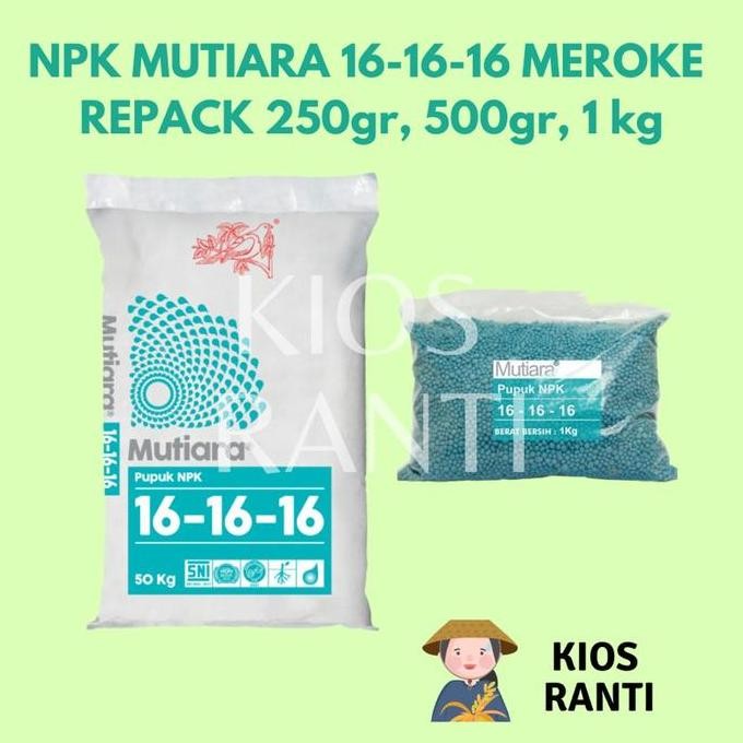 

Terlaris Pupuk Npk Mutiara 16 16 16 Meroke Repack 1 Kg Masa Pertumbuhan Tanaman Bunga Buah Sayur Hias Bonsai Pupuk Npk Biru Sultan