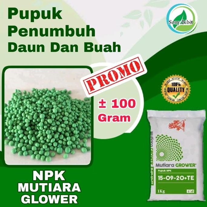 

Terlaris 100 Gram Pupuk Npk Grower 15-09-20 Pupuk Tabur Pemacu Pembungaan Dan Pembuahan Kemasan Ekonomis Tanaman Kalium Pupuk Kcl
