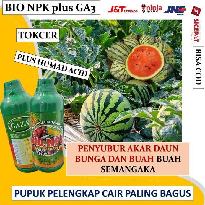 

Terlaris Bio Npk Plus Ga3 Plus Humit Acid 500 Ml Pupuk Buah Semangka Anti Penyakit Di Jamin Mujarab Ampuh Dapat Melebatkan Buah Dan Memperbanyak Hasil Panen