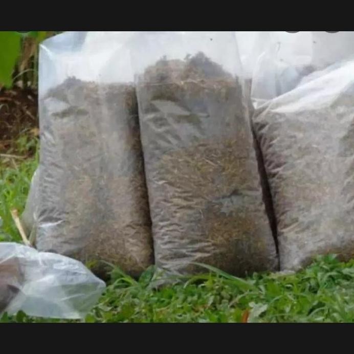 

Terlaris Media Tanam Pupuk Kandang Ayam Kemasan 1Kg