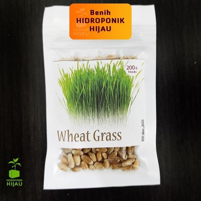 

Terlaris Benih Microgreen Wheatgrass Catgrass Rumput Gandum Repack