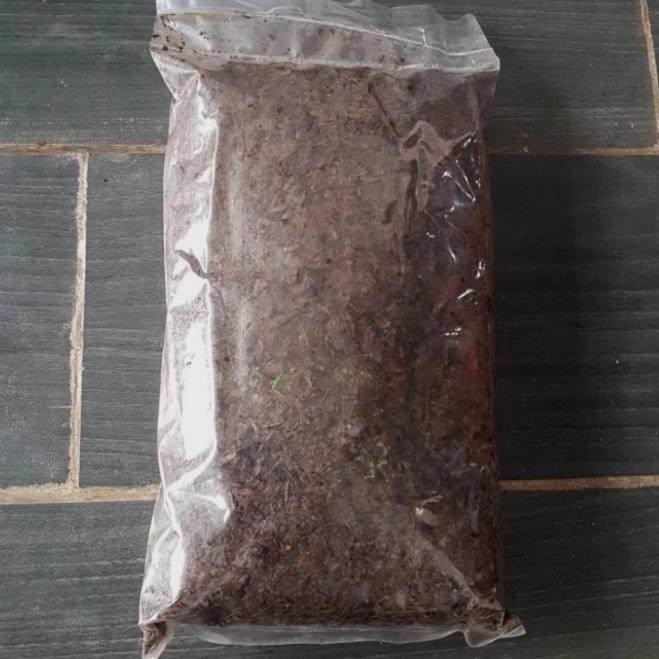 

Terlaris Pupuk Kandang Organik 1 Kg