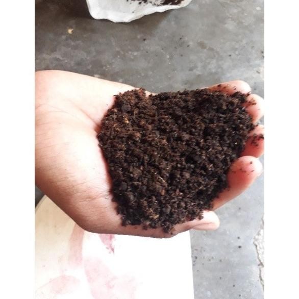 

Terlaris Bacter N9 Pupuk Kandang Kohe Kambing Fermentasi Giling Halus