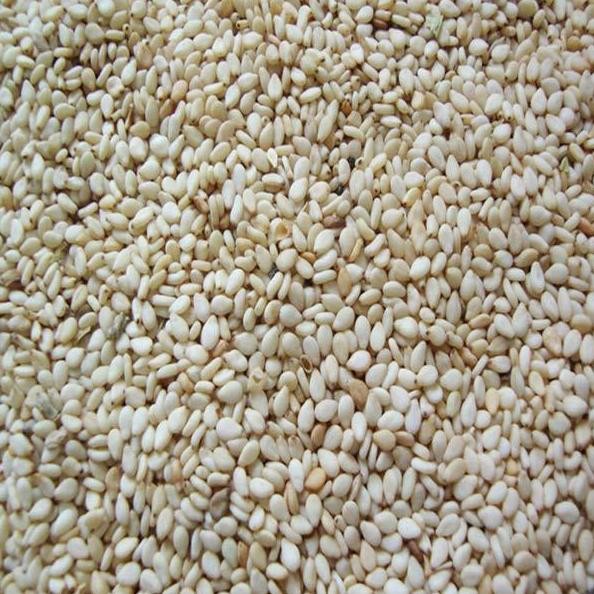 

Terlaris Wijen Putih / White Sesame | 1Kg / 500Gr / 250Gr / 100Gr |