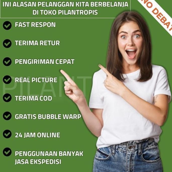 

Terlaris Benih Wheatgrass 1Kg Bibit Rumput Gandum Biji Wheat Grass Microgreen