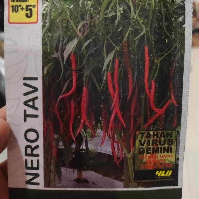 

Benih cabai keriting NERO TAVI 10 gram cabe cmk halbanero seed