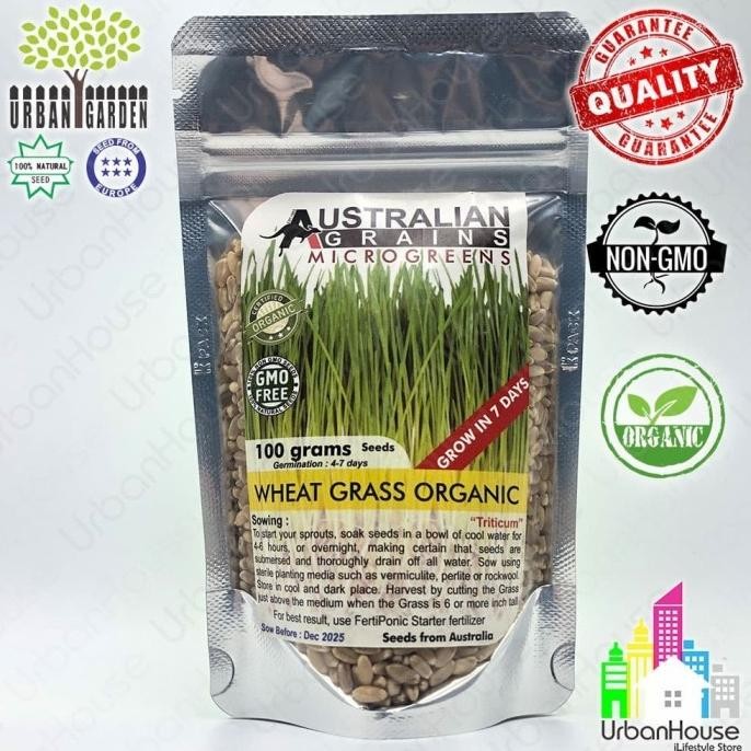 

Terlaris Benih Wheat Berries Wheat Grass Organic Import Rumput Gandum Organik